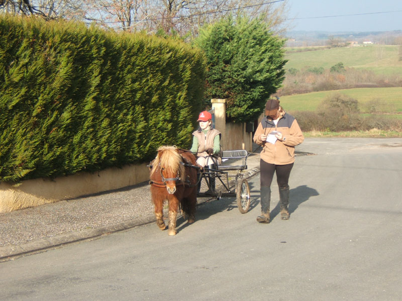 20070222_trec_attele_caro_lindsay0093