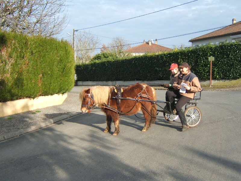 20070222_trec_attele_caro_lindsay0095