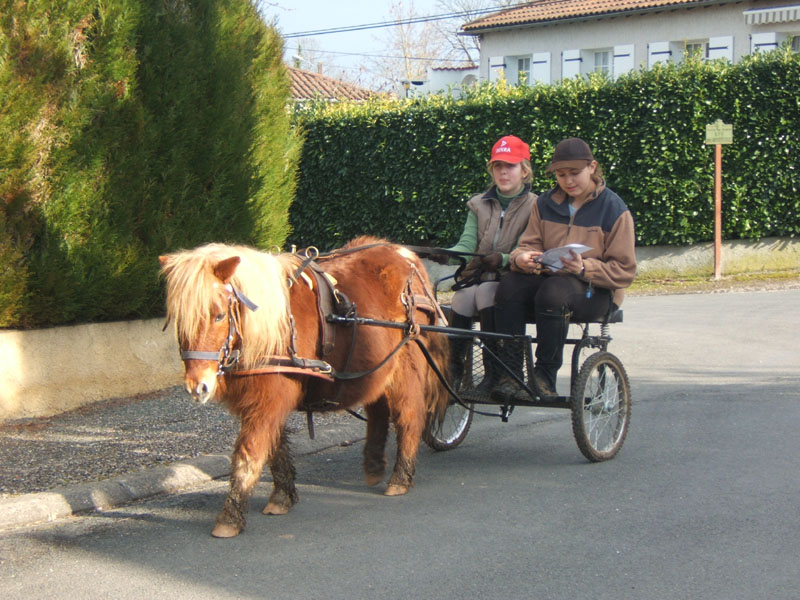20070222_trec_attele_caro_lindsay0096