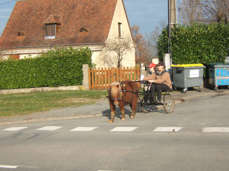 20070222_trec_attele_caro_lindsay0099