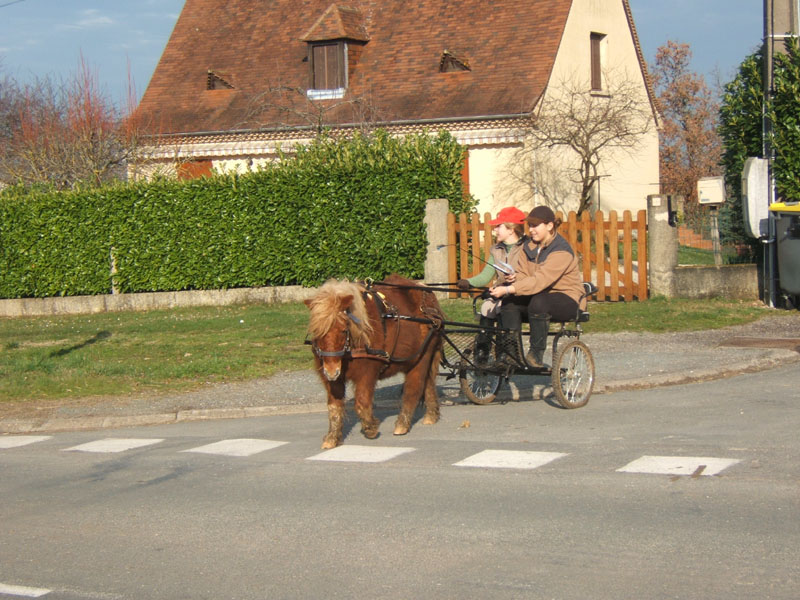 20070222_trec_attele_caro_lindsay0102