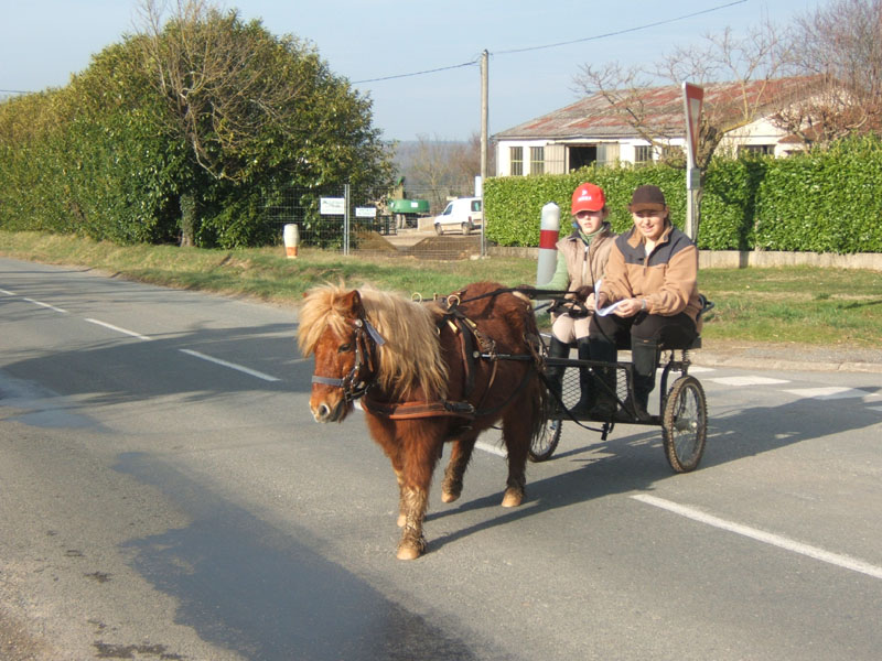 20070222_trec_attele_caro_lindsay0103