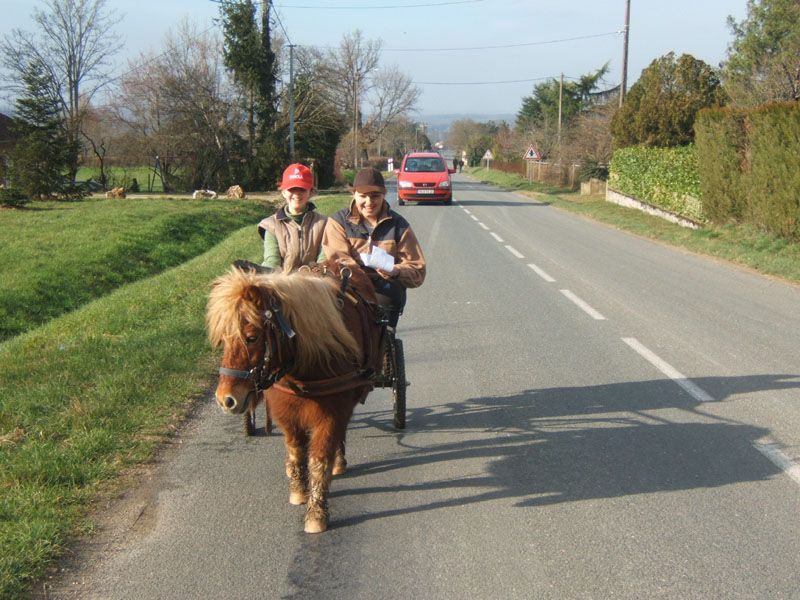 20070222_trec_attele_caro_lindsay0113
