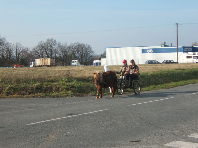 20070222_trec_attele_caro_lindsay0122