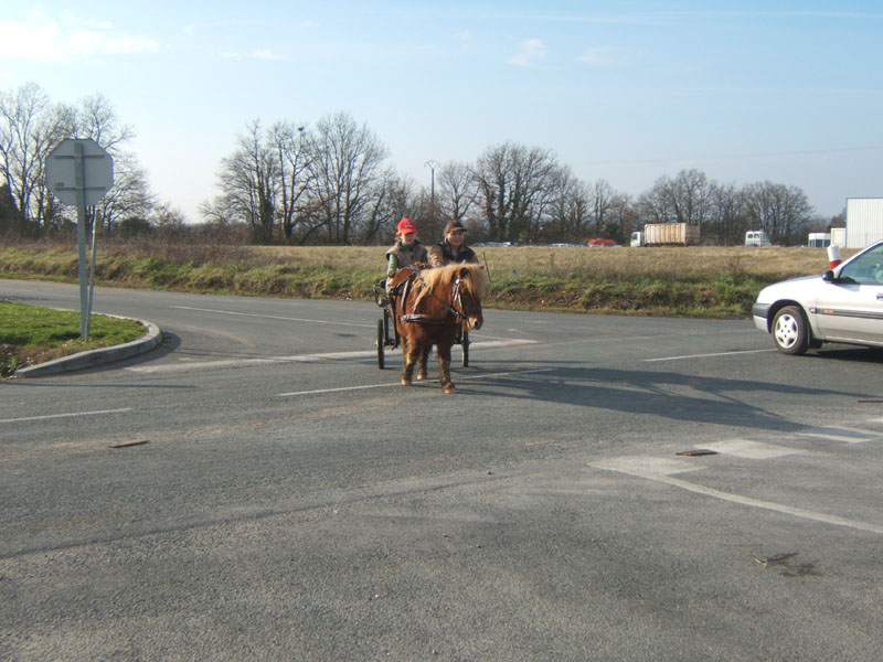 20070222_trec_attele_caro_lindsay0123
