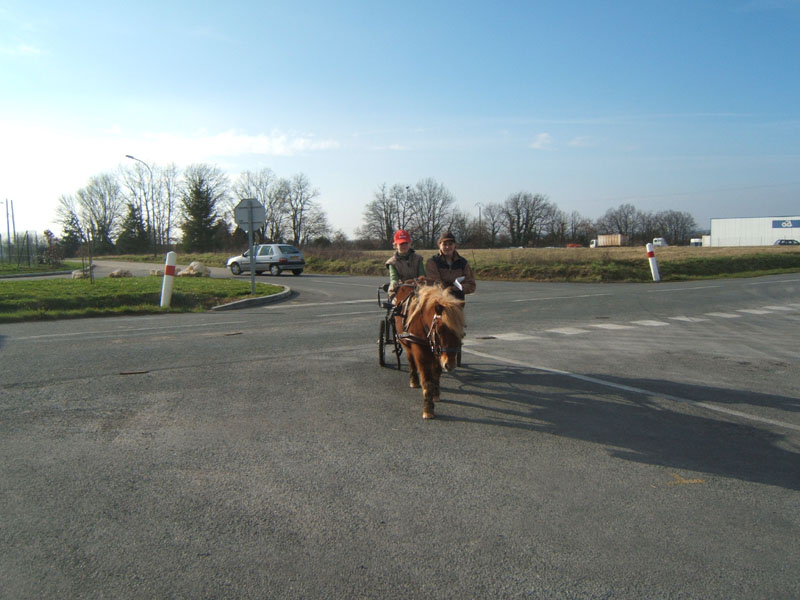 20070222_trec_attele_caro_lindsay0124