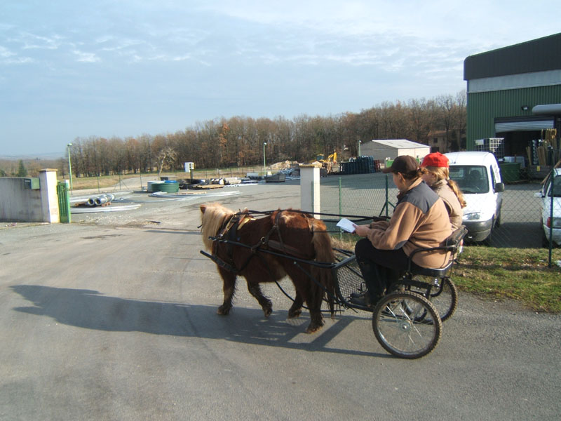 20070222_trec_attele_caro_lindsay0125