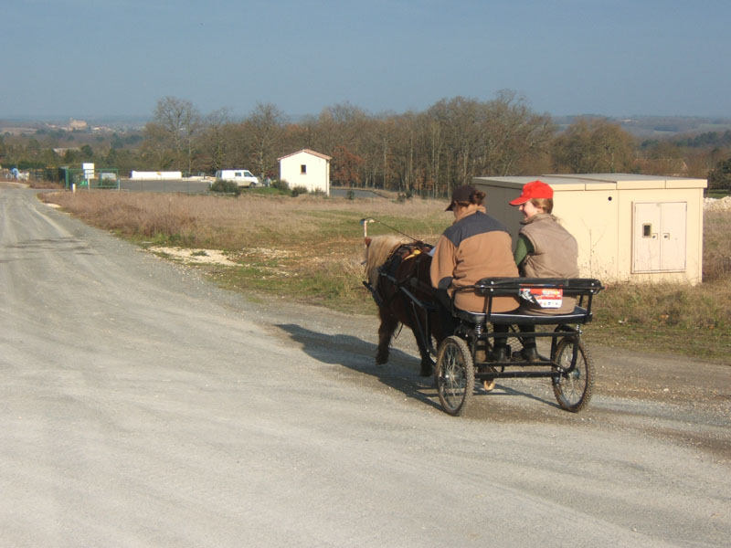 20070222_trec_attele_caro_lindsay0127