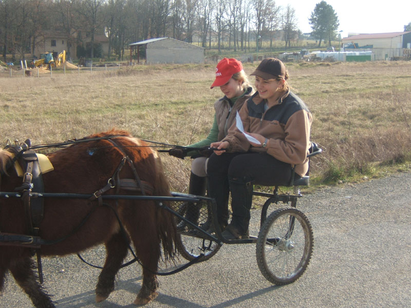 20070222_trec_attele_caro_lindsay0129