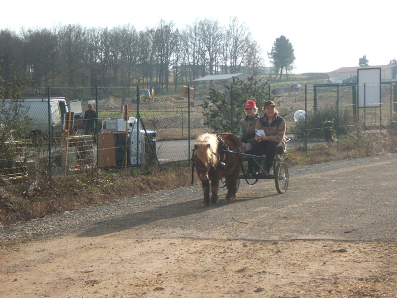 20070222_trec_attele_caro_lindsay0131