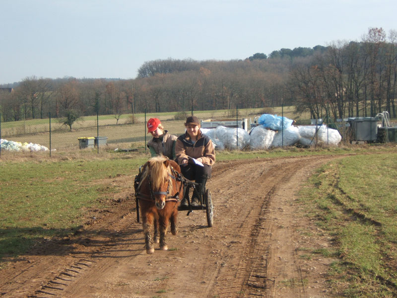 20070222_trec_attele_caro_lindsay0132