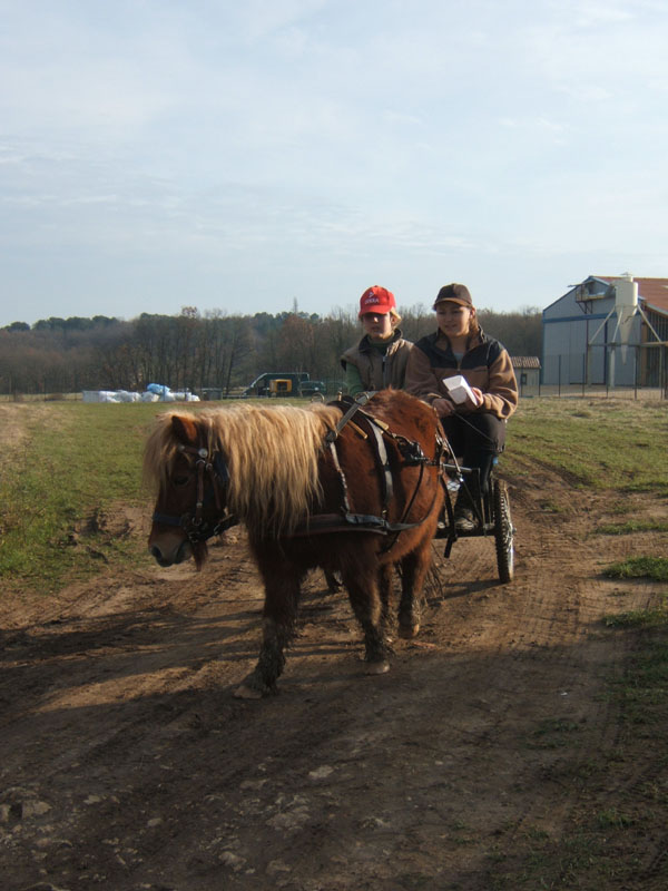 20070222_trec_attele_caro_lindsay0134