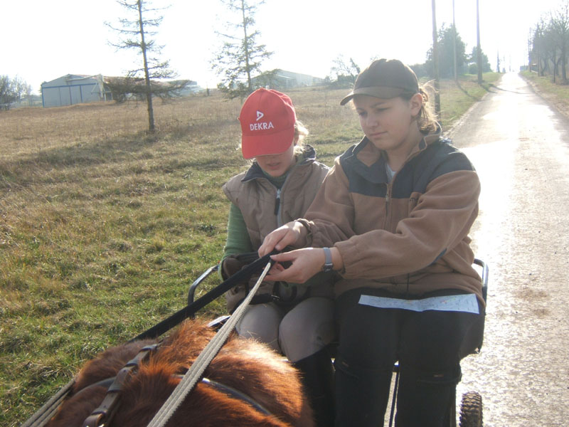 20070222_trec_attele_caro_lindsay0136