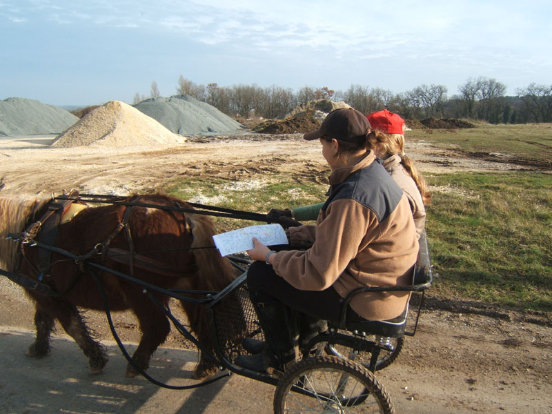 20070222_trec_attele_caro_lindsay0139