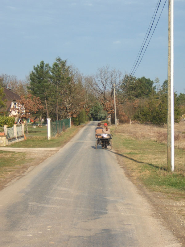20070222_trec_attele_caro_lindsay0141