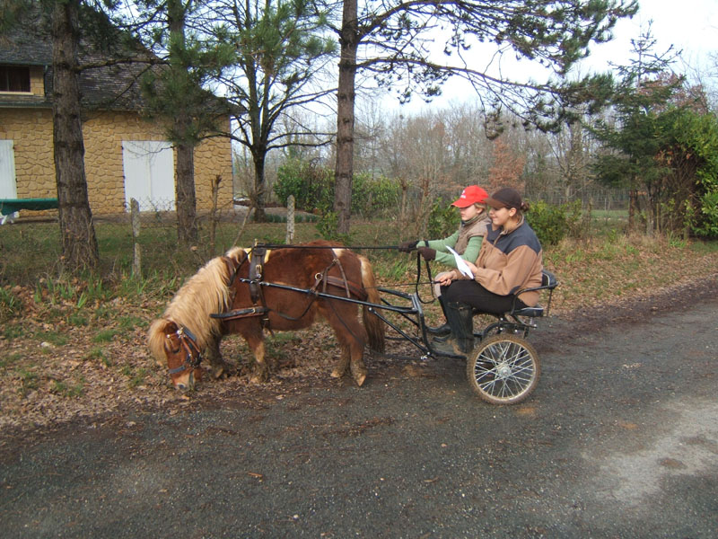 Copie de 20070222_trec_attele_caro_lindsay0029