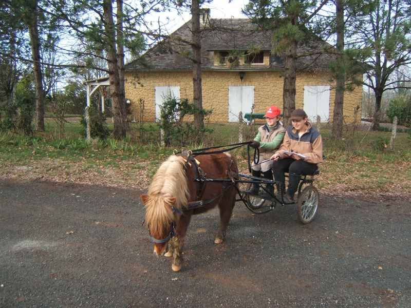 Copie de 20070222_trec_attele_caro_lindsay0030
