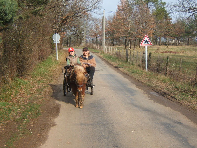 Copie de 20070222_trec_attele_caro_lindsay0045
