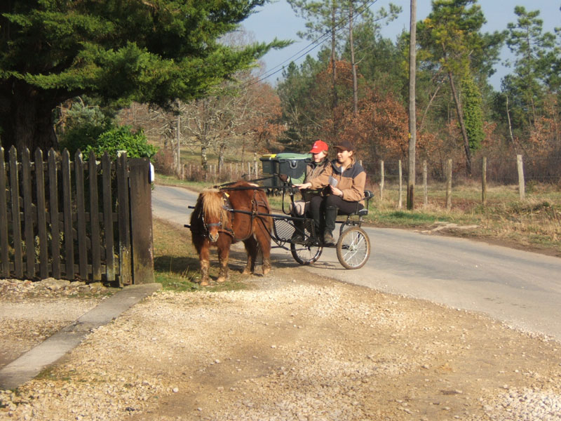 Copie de 20070222_trec_attele_caro_lindsay0056