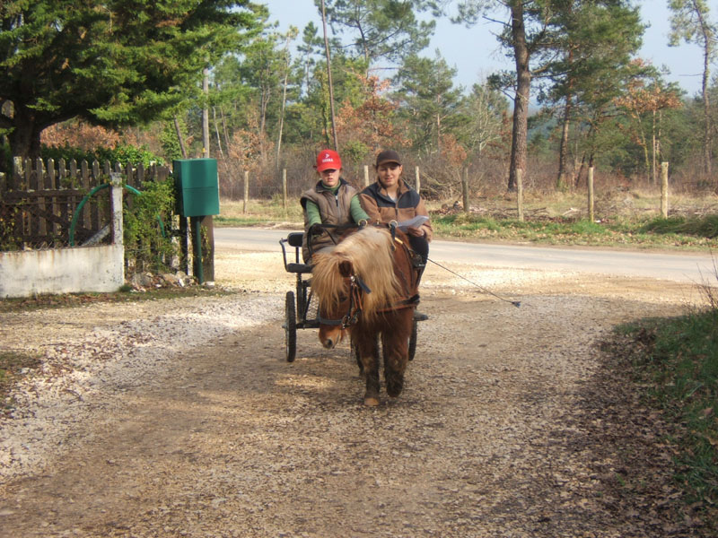 Copie de 20070222_trec_attele_caro_lindsay0058