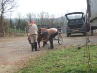 20070222_trec_attele_caro_lindsay0001