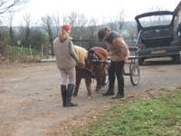 20070222_trec_attele_caro_lindsay0002
