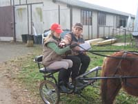 20070222_trec_attele_caro_lindsay0014