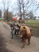 20070222_trec_attele_caro_lindsay0023