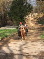 20070222_trec_attele_caro_lindsay0073