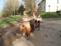 20070222_trec_attele_caro_lindsay0079