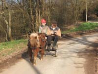 20070222_trec_attele_caro_lindsay0080