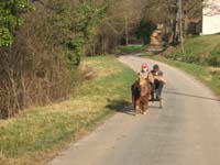 20070222_trec_attele_caro_lindsay0082