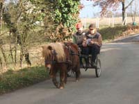 20070222_trec_attele_caro_lindsay0084