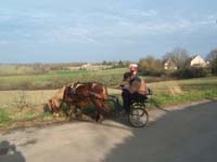 20070222_trec_attele_caro_lindsay0088