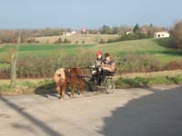 20070222_trec_attele_caro_lindsay0090