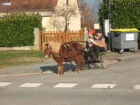 20070222_trec_attele_caro_lindsay0100