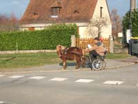 20070222_trec_attele_caro_lindsay0101