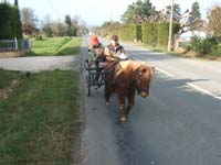 20070222_trec_attele_caro_lindsay0114