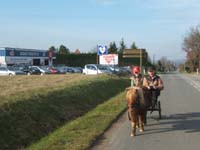 20070222_trec_attele_caro_lindsay0121