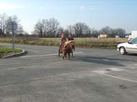 20070222_trec_attele_caro_lindsay0123