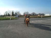 20070222_trec_attele_caro_lindsay0124