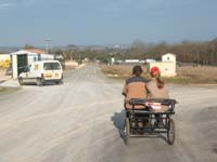 20070222_trec_attele_caro_lindsay0126