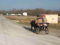 20070222_trec_attele_caro_lindsay0127
