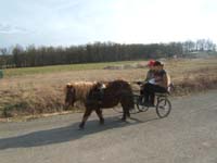 20070222_trec_attele_caro_lindsay0130