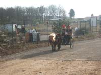 20070222_trec_attele_caro_lindsay0131