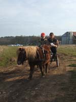 20070222_trec_attele_caro_lindsay0134