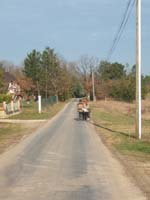 20070222_trec_attele_caro_lindsay0141