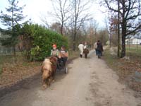 Copie de 20070222_trec_attele_caro_lindsay0026