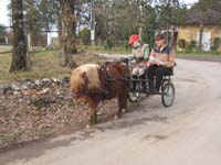 Copie de 20070222_trec_attele_caro_lindsay0032