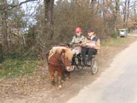 Copie de 20070222_trec_attele_caro_lindsay0038